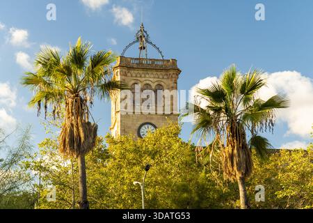 Blick auf einen alten Uhrenturm der Universität von barcelona, der hoch im grünen Laub steht, Barcelona, Katalonien, Spanien. Stockfoto
