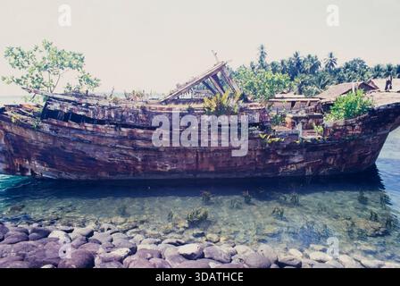 Indonesien, Pulau Batu, Batu-Inseln, vor der Westküste von Sumatra, bereits mit Vegetation bewachsenes Fischerboot-Wrack, Kodak Elite Chrome ISO 100 EB, 2001 Stockfoto