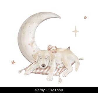 Komposition mit Mond mit Sternen und Charakter beige gelbe Welpen Hund isoliert auf Hintergrund. Handgezeichnete Illustrationsskizze Labrador schlafend auf A Stockfoto