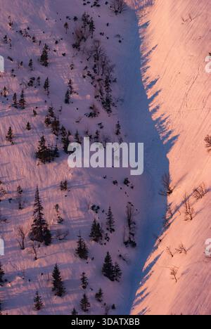 Blick auf die schneebedeckten Hänge, die von immergrünen Bäumen gesäumt sind, und eine ruhige Winterszene im sanften Glanz der Dämmerung, Low Tatra, schaffen Stockfoto