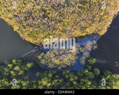 Aus der Vogelperspektive auf das ruhige Wasser, das sich durch die dichten, lebendigen Mangrovenwälder schlängelt und einen faszinierenden Kontrast aus Grün und Blau schafft, Hương Trà Stockfoto