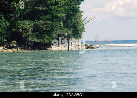 Indonesien, Pulau Batu, Batu-Inseln vor der Westküste von Sumatra, Fischer auf den Steininseln, Fuji Film ISO 200 Sensia RM, 2001 Stockfoto