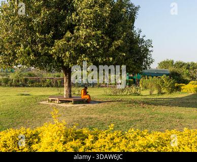 Lumbini, Nepal, 10. März 2015: Ein buddhistischer Mönch meditiert unter einem Baum in Lumbini, dem Geburtsort Buddhas. Stockfoto