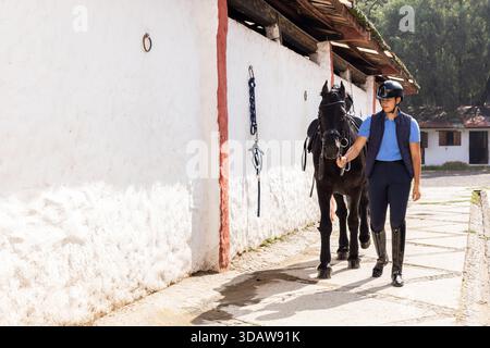 Ein Reiter führt ein schwarzes Pferd auf einem stabilen Pfad, der seine Fähigkeiten und Sorgfalt im Reitsport unter Beweis stellt. Die Szene fängt das Wesen des Pferdesports ein Stockfoto