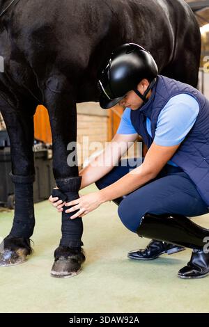 Reitbegeisterte befestigen die Beinschutzausrüstung an einem schwarzen Pferd in einem Stall. Mit Helm und Weste sorgt der Fahrer für Sicherheit und Komfort Stockfoto
