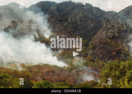 Ein gelber Löschhubschrauber lässt Wasser über einen brennenden Wald in einem bergigen Gebiet fallen, wobei dichter Rauch während des waldbrandschutzes von den Bäumen aufsteigt Stockfoto