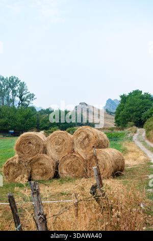 Heuballen ruhen auf einer sonnigen Wiese im malerischen Somiedo Valley, Asturien, mit einer Kulisse aus sanften Hügeln und üppigen Bäumen. Ein Schmutzpfad führt dazu Stockfoto