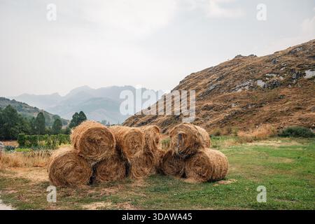 Heuballen ruhen auf einer üppigen Wiese im Somiedo Valley, Asturien, umgeben von sanften Hügeln und fernen Bergen. Diese ruhige, ländliche Szene verkörpert Stockfoto