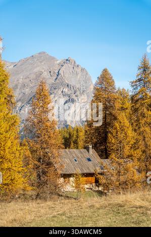 Gemütliche Holzhütte eingebettet in einen Wald aus goldenen Herbstbäumen mit majestätischen Berggipfeln im Hintergrund, die die heitere Schönheit der Alp veranschaulichen Stockfoto
