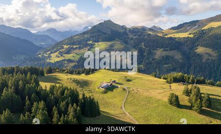Aus der Vogelperspektive die ruhige Landschaft der Schweizer Alpen. Grüne Wiesen und dichte Wälder bedecken sanfte Hügel, unter einem Himmel mit flauschigem cl Stockfoto