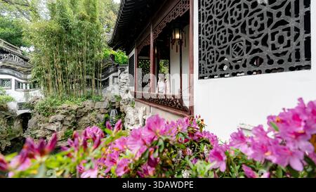 Eine Frau im Yuyuan-Garten in Shanghai, China, zeigt kunstvolle Architektur und Bambus inmitten von leuchtenden rosa Azaleen. Diese ruhige Umgebung lädt zum Entspannen ein Stockfoto