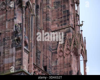 Westfassade des gotischen Straßburger Doms mit seiner Vorhangfassade aus rosa Vogesensandstein, einem Erbe von Erwin von Steinbach. Elsass, Fr. Stockfoto