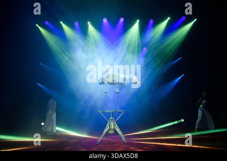 London, Großbritannien. Dezember 2025. Ein Akrobat auf dem Winter Funland 2025 Photocall, der vom 13. Dezember 2025 bis 4. Januar 2026 im Olympia London stattfindet. Quelle: Justin Ng/Alamy Live News. Stockfoto