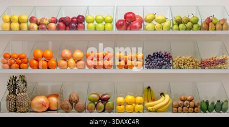 Eine Obstpräsentation mit verschiedenen Früchten, darunter Äpfel, Orangen, Bananen und Trauben. Das Display ist in durchsichtigen Behältern angeordnet, um es einfach zu machen Stockfoto