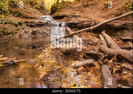 Kleiner Wasserfall am Ende des Parfrey’s Glen Canyon im Devils Lake State Park, Wisconsin, mit Herbstlaub und gefallenen Baumstämmen im Bach. Stockfoto