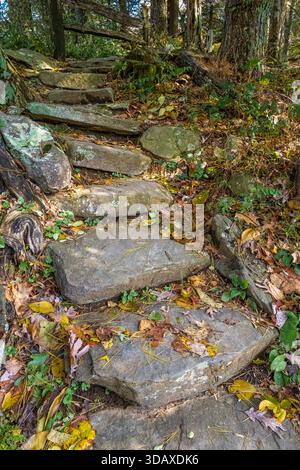 Steintreppen auf dem Appalachian Trail bei Neel Gap in der Nähe von Bergkreuzungen bei Walasi-Yi im Chattahoochee National Forest in Georgia bei Blairsville. Stockfoto