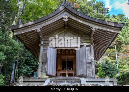 Ein hölzerner Schrein des Myōhōzan Amida-ji Tempels steht mit offenen Türen und einem Blick auf die Laternen im Inneren, im Wald nahe Nachikatsuura, Präfektur Wakayama, Japan. Ein geschwungenes Satteldach schützt die kleine Struktur. Stockfoto