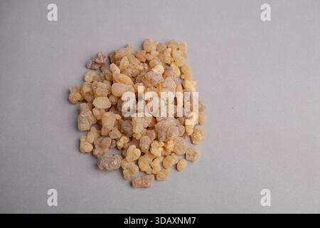Makrostillleben von natürlichen blassgelben Weihrauch Harz Tränen (Boswellia sacra) verwendet für Weihrauch, Aromatherapie und Kräutermedizin. Stockfoto