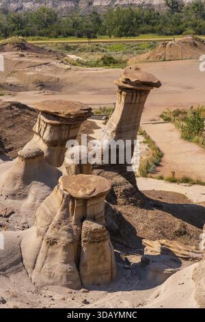 Einzigartige Hoodoo-Felsformationen, die durch Erosion geformt wurden, erheben sich in den trockenen Badlands in der Nähe von drumheller, alberta, kanada, und schaffen ein dramatisches Naturland Stockfoto