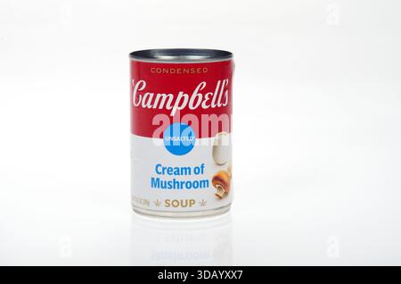 Campbells kondensierte ungesalzene Creme aus Pilzsuppe Dose oder Dose auf weißem Hintergrund isoliert Stockfoto