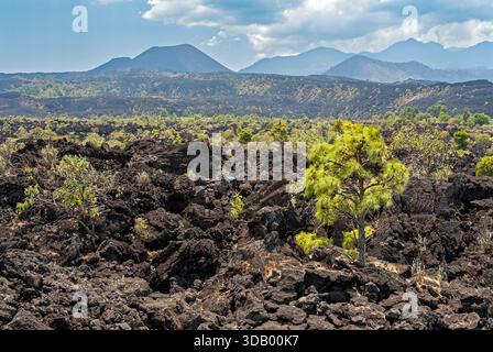 Antike Kirche San Juan Parangaricutiro, Michoacán, Mexiko Stockfoto