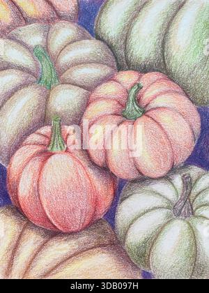 Bunte orange und grüne Kürbisse und Kürbis. Bleistiftzeichnung. Stock Vektor