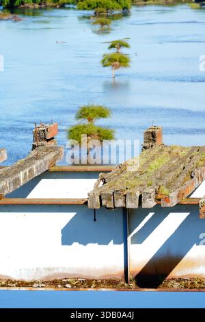 Puente antiguo erfahre el Río Cholchol ubicado en la Región de la Araucanía Stockfoto