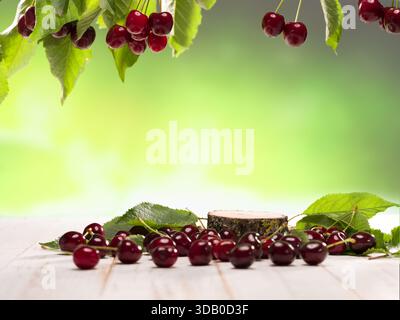 Leerer Holzstamm auf einem Holztisch mit Kirschblütenzweigen und Gartenhintergrund. Für Werbedesign und Produktpräsentation Stockfoto