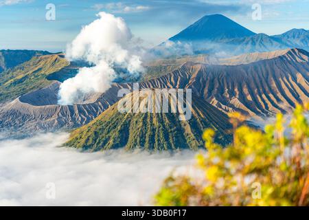 Der Vulkan Mount Bromo bricht mit Rauch und Asche über einem Wolkenmeer aus Stockfoto