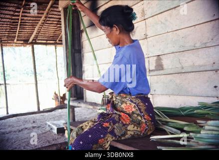 Indonesien, Pulau Batu. Batu-Inseln, vor der Westküste von Sumatra, verwendet Eine Frau Dornblätter (Pandanus amaryllifolius) für Webarbeiten wie Matten und Körbe, Fuji ISO 100 Sensia RA, 2001 Stockfoto