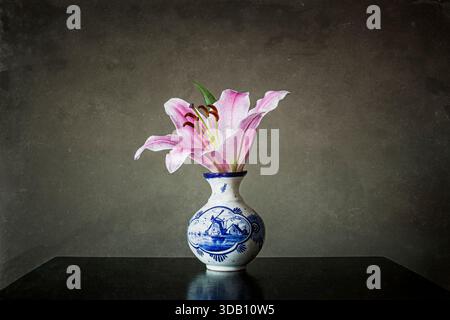 Stillleben einer Delfter blauen Vase mit einer Lilienblume vor grauem Hintergrund. Stockfoto