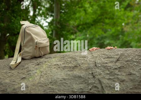 Die Hände eines kleinen Kindes greifen auf die Felsenkante, und ein hellbeiger Rucksack liegt in der Nähe. Es ist eine abenteuerliche Outdoor-Szene, die auf einen Aufstieg auf eine... Stockfoto