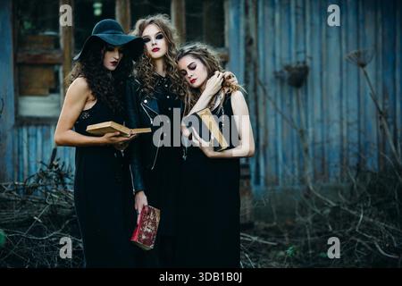 Drei alte Frauen als Hexen posieren vor einem verlassenen Gebäude mit Büchern in der Hand am Vorabend von Halloween || Model veröffentlicht Stockfoto