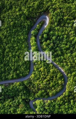 Mountain winding road in Kakheti in Georgia Stockfoto