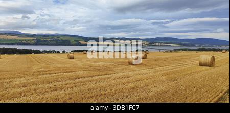 Heuballen verstreuten sich im Spätsommer über goldene Felder im Norden Schottlands, wobei die Nordsee entlang der Küste schimmerte Stockfoto