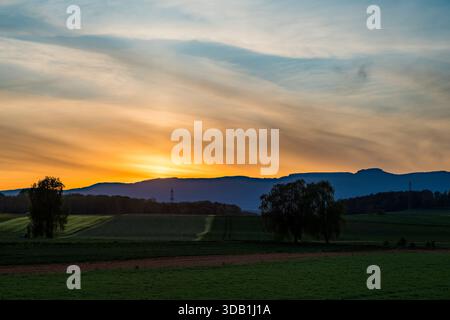 Goldener Sonnenuntergang über rollendes Ackerland mit Silhouettenbäumen und fernen Hügeln Stockfoto