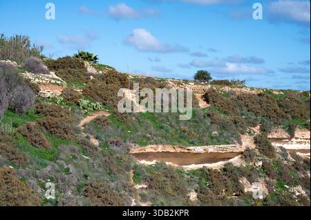 Trockene, zerklüftete Landschaften mit karger Vegetation am Stadtrand von Marsaxlokk Marsaxlokk, Malta, 6. Dezember 2025. Stockfoto