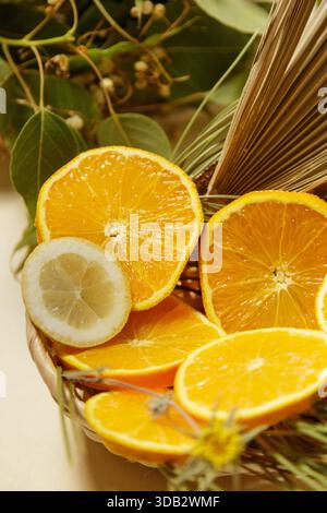 taichi sonnendurchflutete Orangen und Zitrone in gewebtem Korb auf Holztisch, warmes goldenes Licht, Eukalyptuszweige auf dem Dach Stockfoto