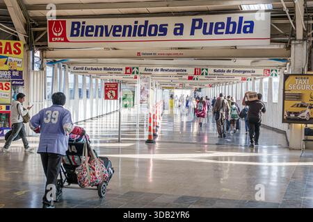 Puebla Mexico, CAPU Central de Autobus de Puebla Bushaltestelle, im inneren Fußgängerkorridor, Bienvenidos ein Puebla Willkommensschild, Reisende Passagiere Stockfoto