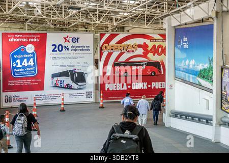Puebla Mexico, CAPU Central de Autobus de Puebla Bushaltestelle, Innenwerbung Plakate, Busreisen Promotions, Puebla CDMX Route, Passagiere Wal Stockfoto
