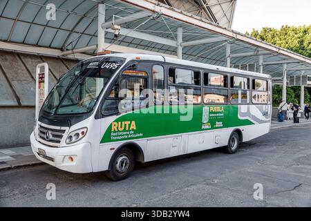 Puebla Mexico, CAPU Central de Autobus de Puebla Bushaltestelle, Außenansicht, RUTA Red Urbana de Transporte Articulado Bus, Puebla Government Public Tram Stockfoto