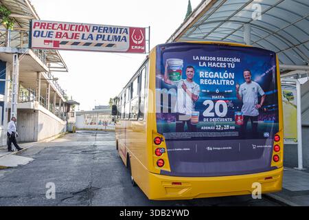 Puebla Mexico, CAPU Central de Autobus de Puebla Bushaltestelle, Außenbushaltestelle, Stadtbus mit Werbung hinten, Comex Lackwerbung, Precauc Stockfoto