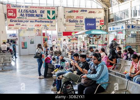 Puebla Mexico, CAPU Central de Autobus de Puebla Bushaltestelle, in der inneren Ankunftshalle, Schild Llegada de Autobuses Arrivals, Salida de Auto Stockfoto