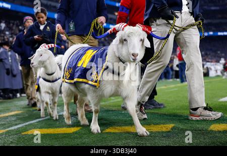 Baltimore, MD, USA. Dezember 2025. Bill The Goat 38 läuft während des 126. Army Navy Spiels zwischen der United States Naval Academy und der United States Military Academy im M&T Bank Stadium in Baltimore, MD Justin Cooper/CSM/Alamy Live News Stockfoto