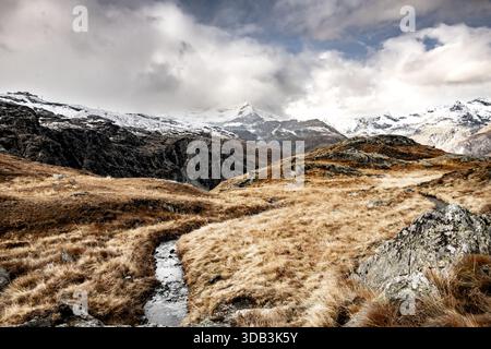 Der Small Creek verläuft im Herbst durch die Brown Grass Meadow in den Schweizer Alpen Stockfoto