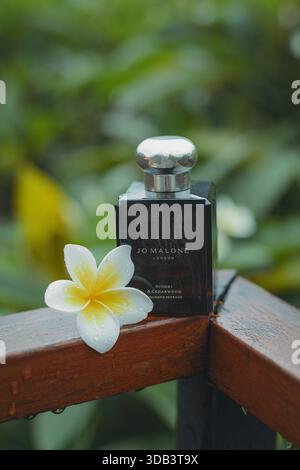 Eine Jo Malone Parfümflasche wird auf einer Holzfläche neben einer gelben Blume platziert. Der Hintergrund bietet üppiges Grün, was ein frisches und natura schafft Stockfoto