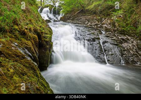 Slulow Falls, Betws-y-Coed, Conwy, Wales, Vereinigtes Königreich Stockfoto