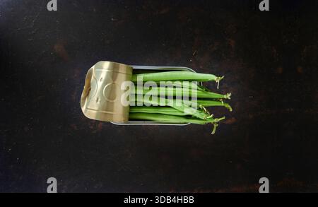 Dose grüne Bohnen Stockfoto