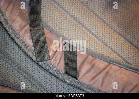 Nahaufnahme eines schwarzen Riemenverschlusses an einer Rucksack-Tasche Stockfoto