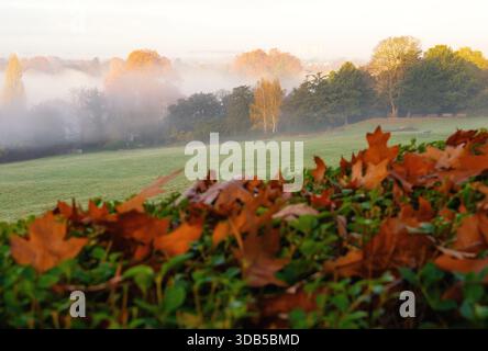 Nebliger Blick vom Richmond Hill über Terrace Gardens, Richmond, London, England Stockfoto